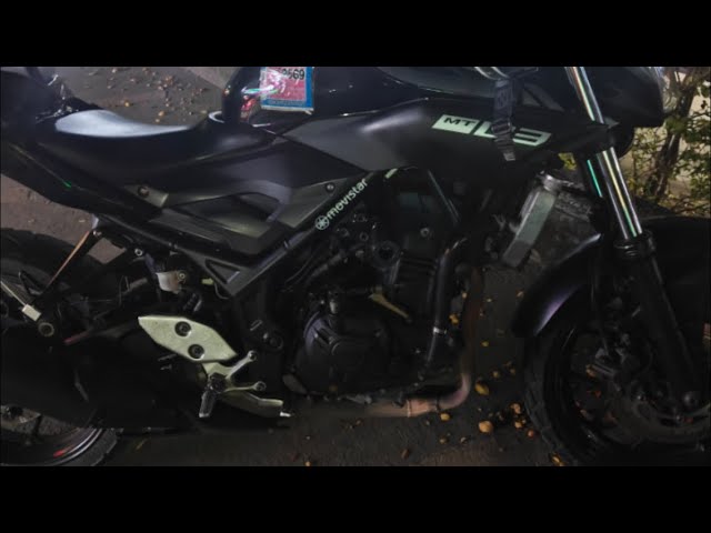 Лиза Галкин