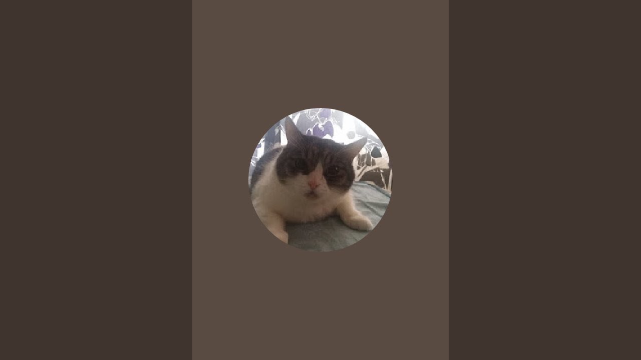 Рыба Gvozd в прямом эфире!