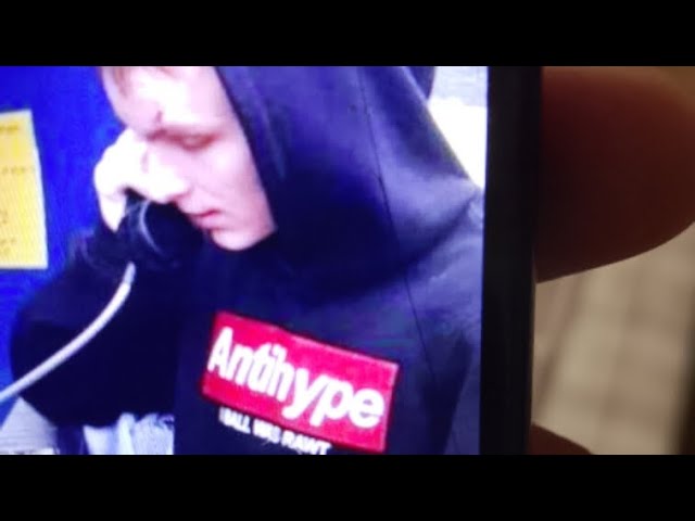 котик Симба