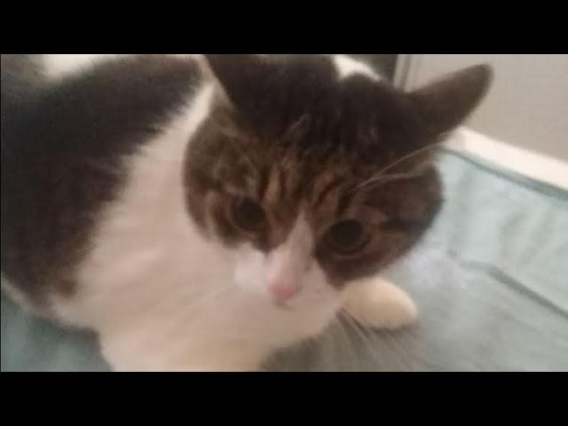 хорошие люди2