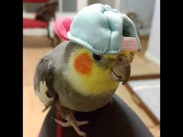 Лиза и я