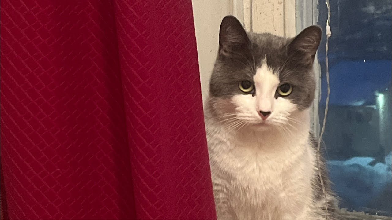 Добрый вечер 🌸😄