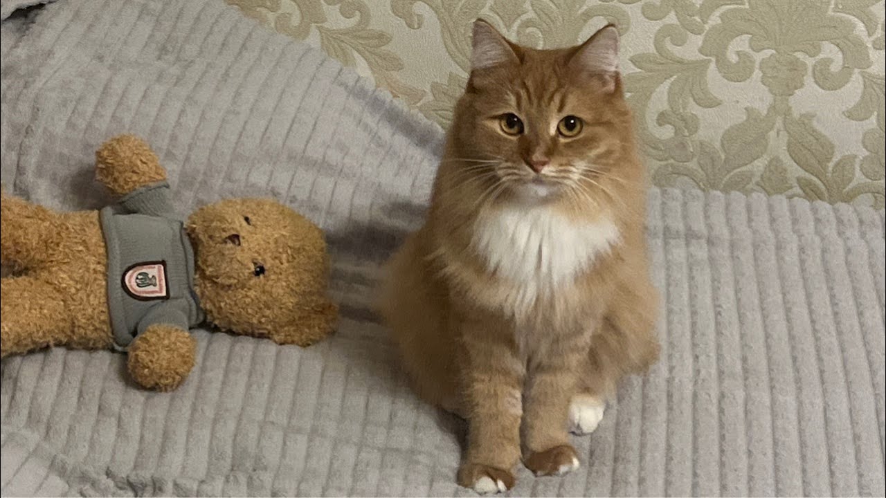 уже скоро Новый Год))