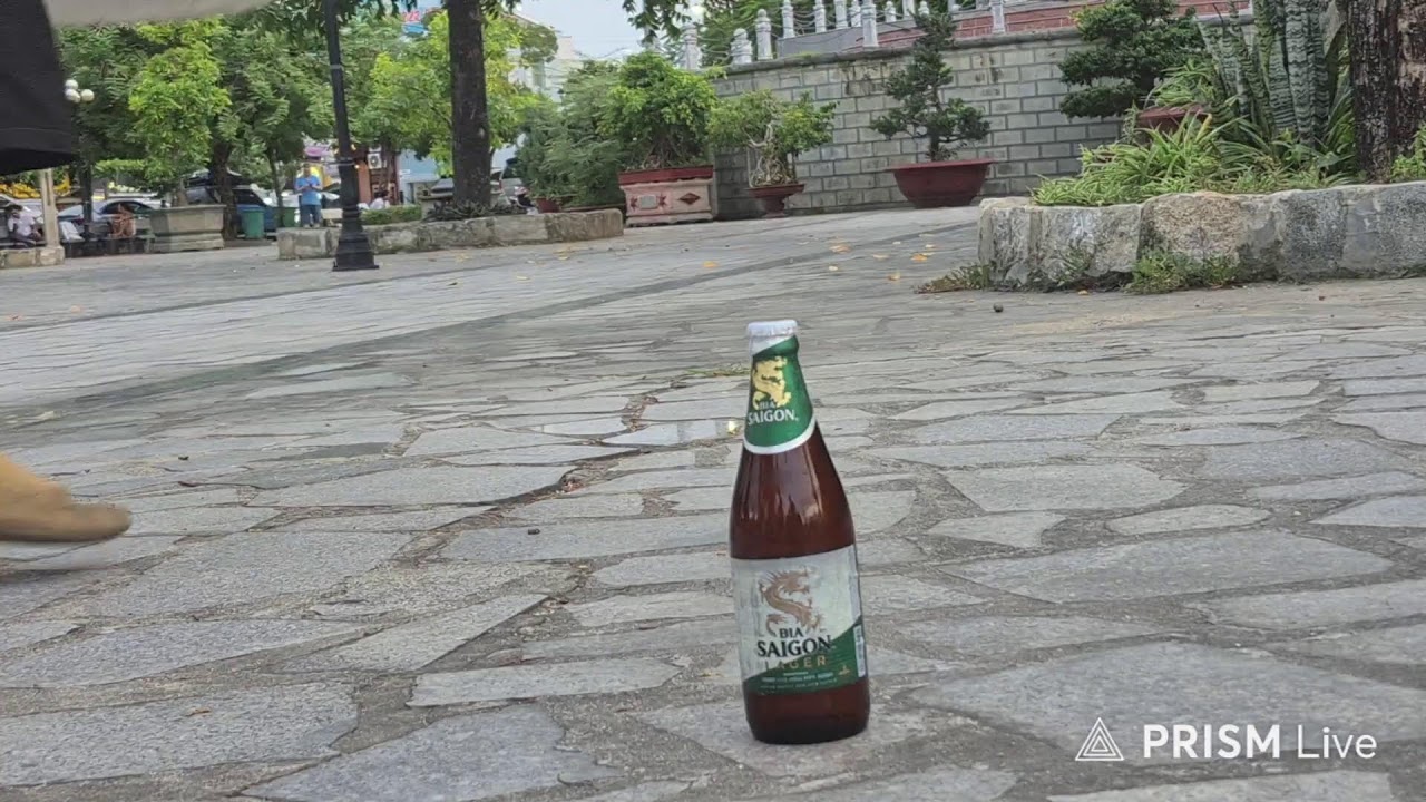 Озоныч Вьетнам