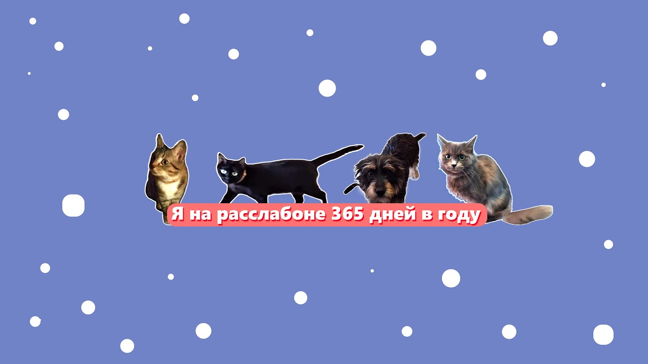 Пообщаемся? | СТРИМ В 22-00