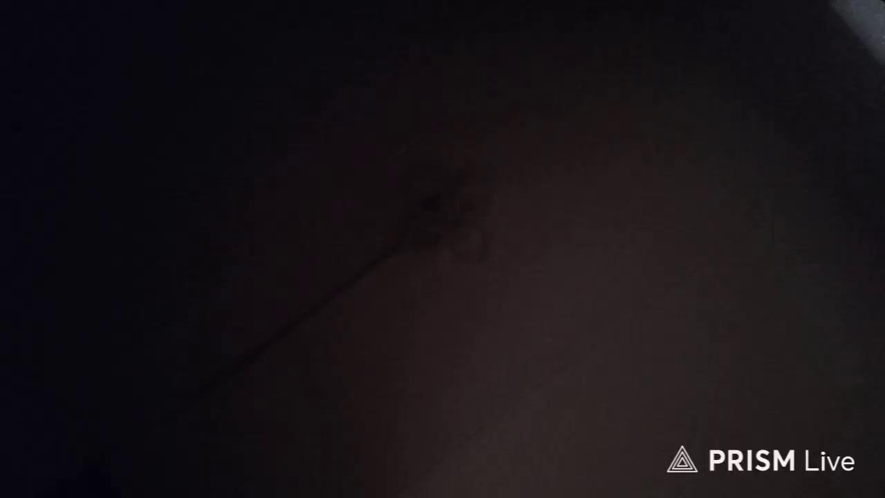 Прямая трансляция Persus