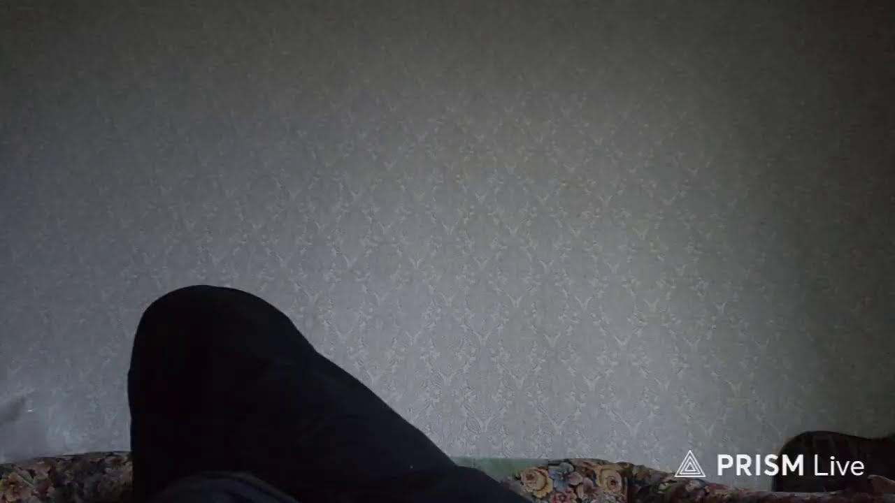 Прямая трансляция Persus