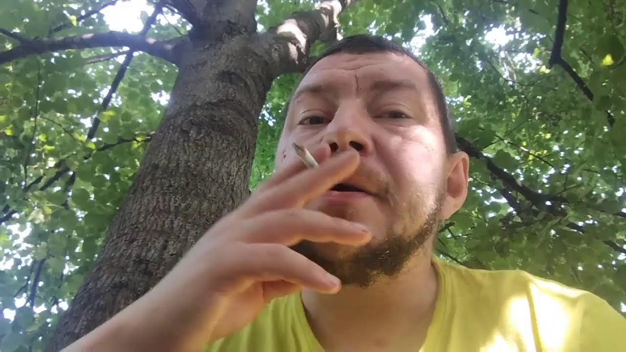 утро