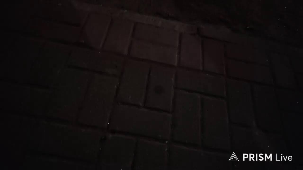 Прямая трансляция Воздушная Фасоль